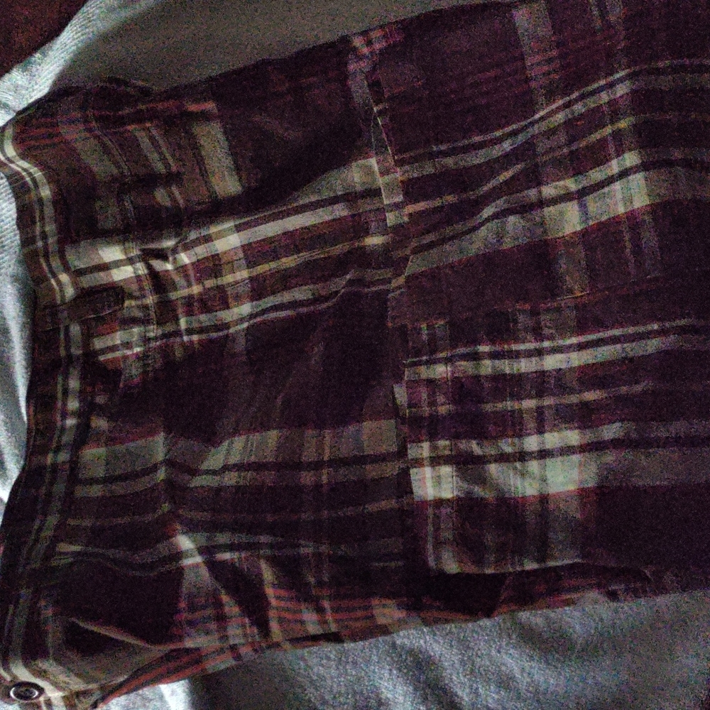 Kani Gold brown plaid men shorts